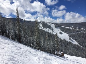 Best Ski Resort